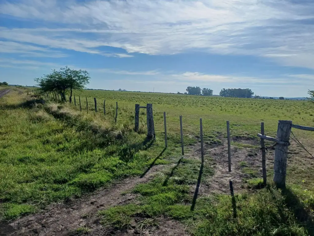 Campo en San Salvador