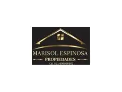 Marisol Espinosa Propiedades