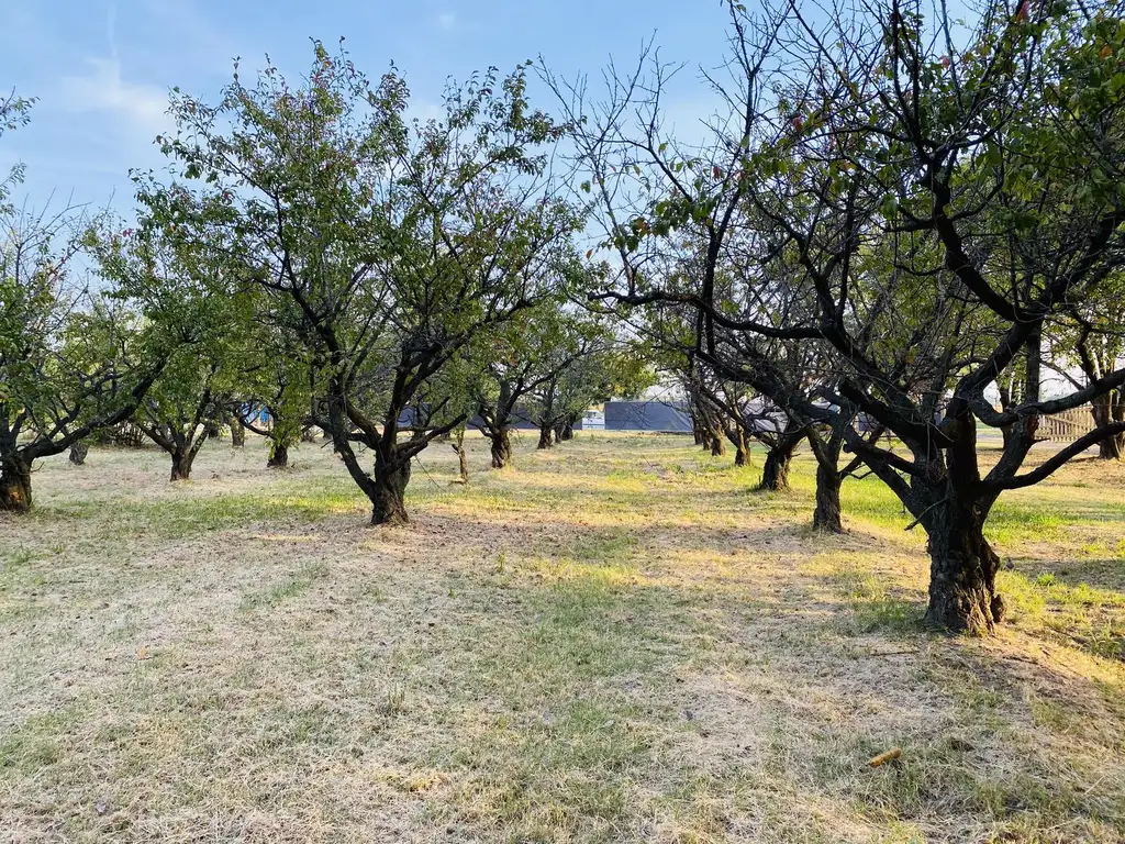 Terreno en  venta Capitan Bermudez