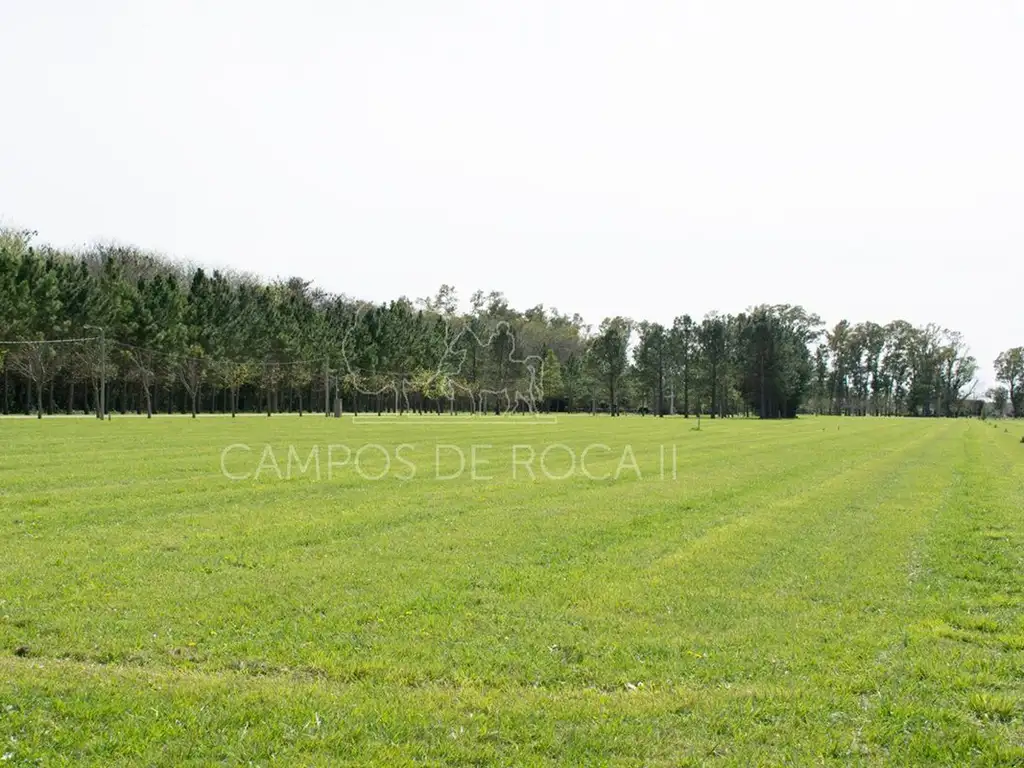 LOTES Y TERRENOS EN VENTA CAMPOS DE ROCA 2