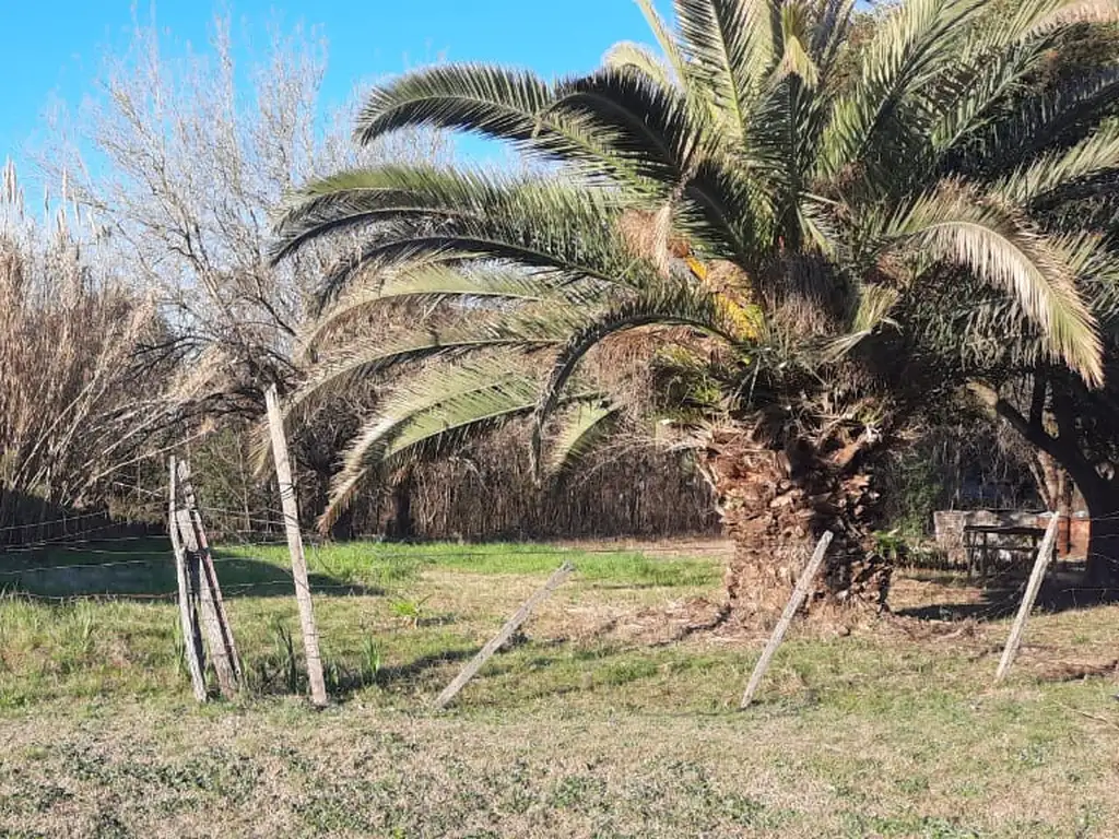 TERRENO DE 1800M2 EN LUIS PALACIOS.