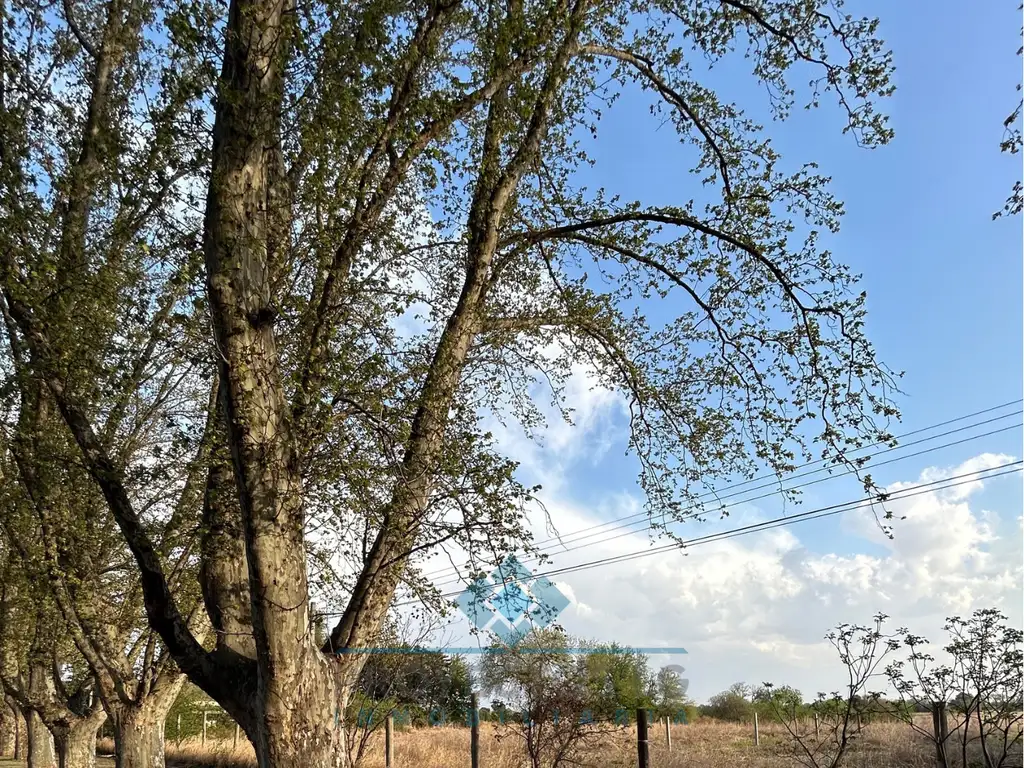 TERRENOS EN VENTA SOBRE AV. SAN MARTIN - COLONIA CAROYA