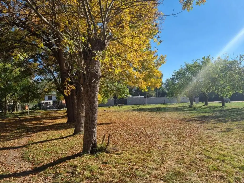 Venta Terreno en Pilar La Lonja, BARRIO EL COMIENZO IV Financiamiento 50%