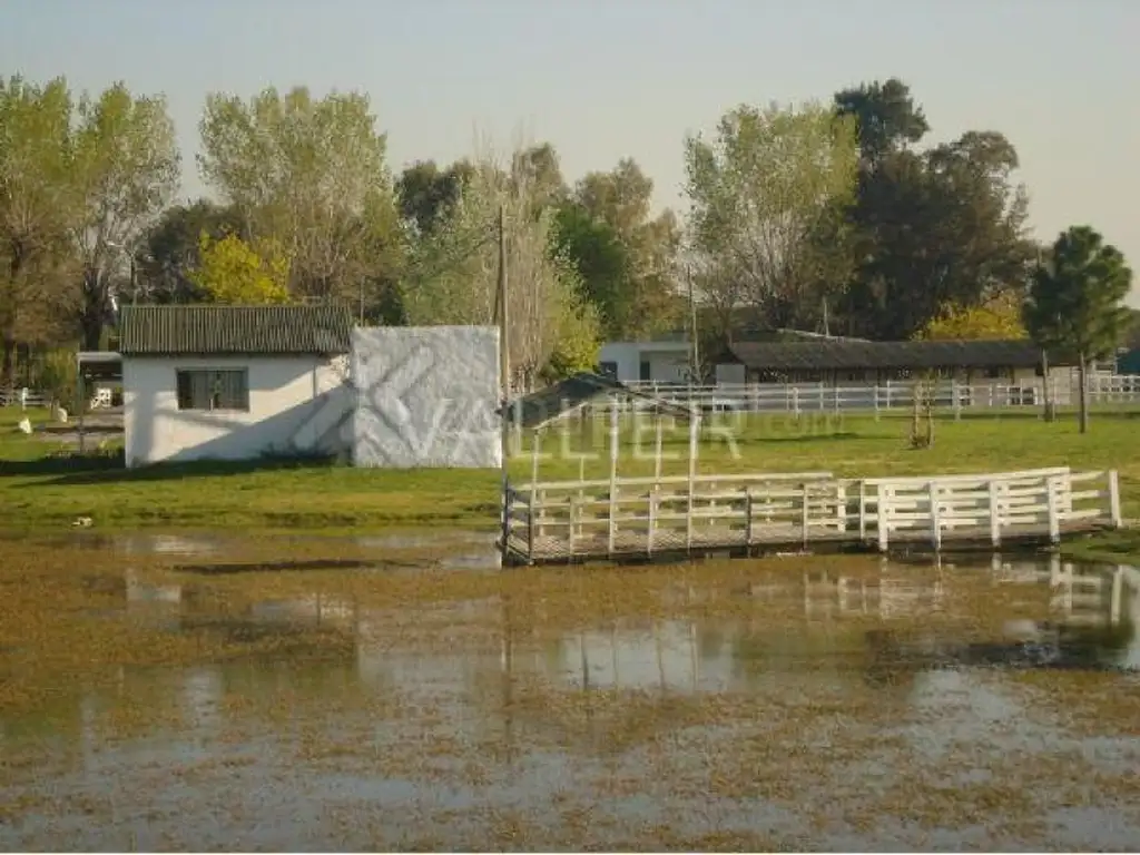 Terreno Lote  en Venta en General Rodríguez,  G.B.A. Zona Oeste