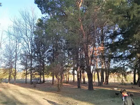 VENTA DE CAMPO EN LA PRIMAVERA  TUNUYAN