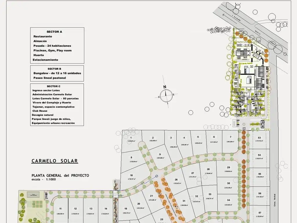 Terreno Lote  en Venta en Carmelo,  Colonia