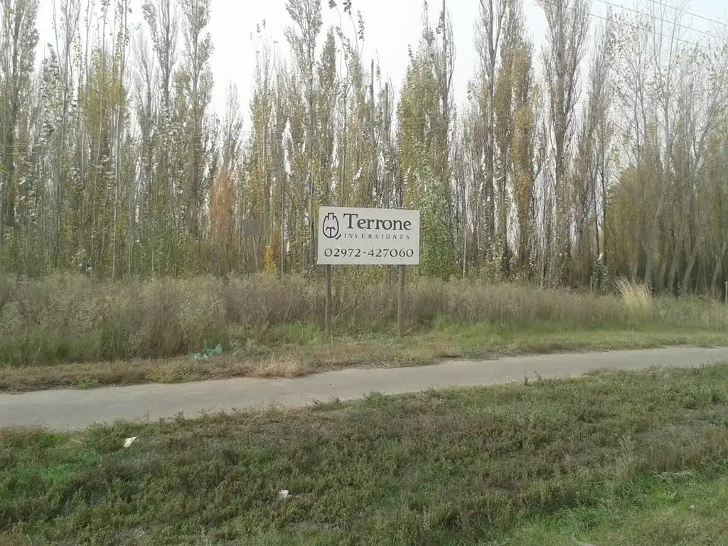 Gran Terreno en San Patricio del Chañar