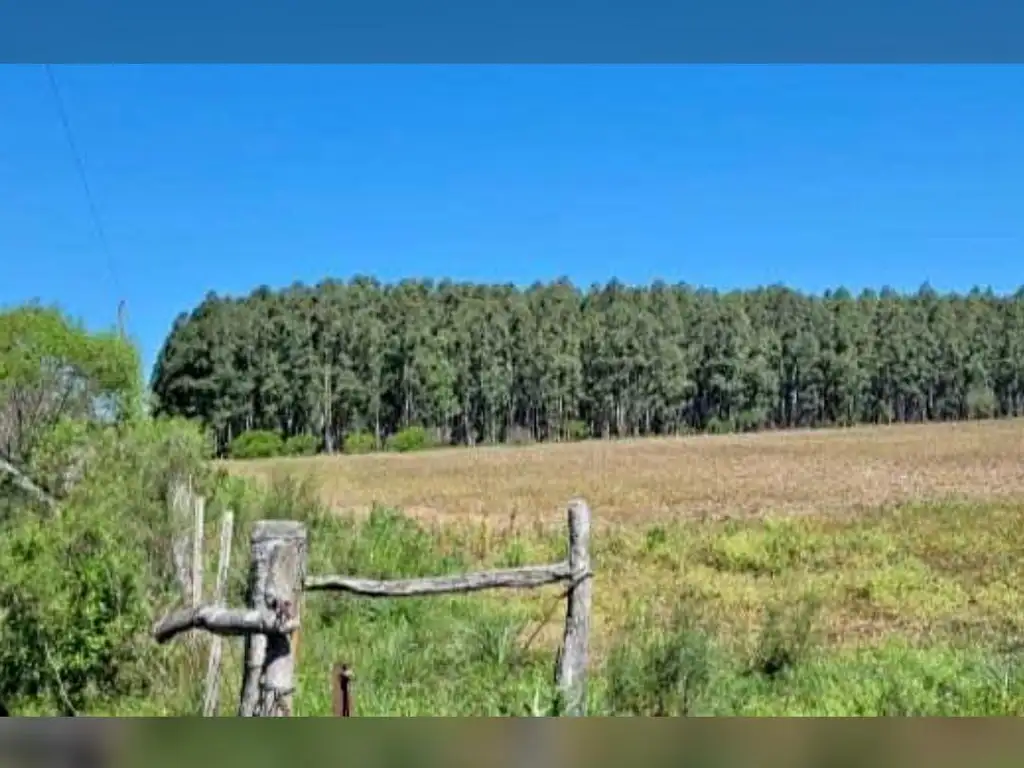 Campo en Ubajay