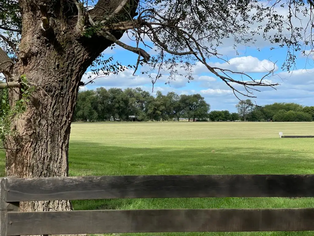 2 AMPLIOS LOTES EN LA ARAUCARIA - SALVADOR MARIA - LOBOS