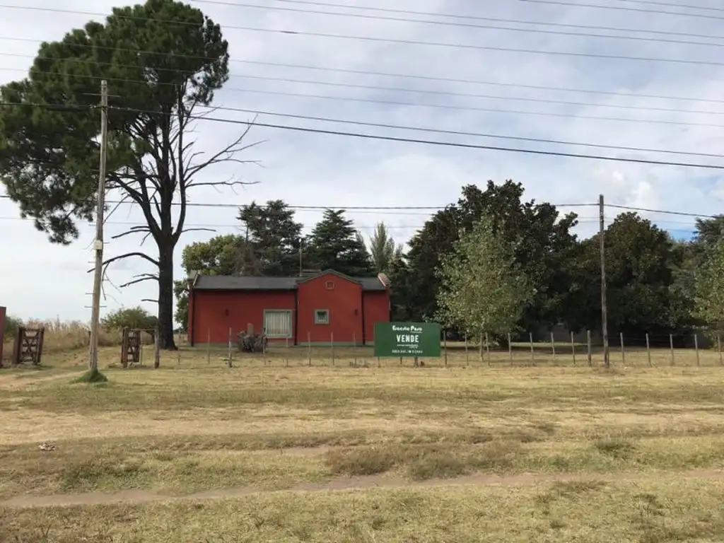 Quinta - Venta - Argentina, Trenque Lauquen - Ruta 5 400