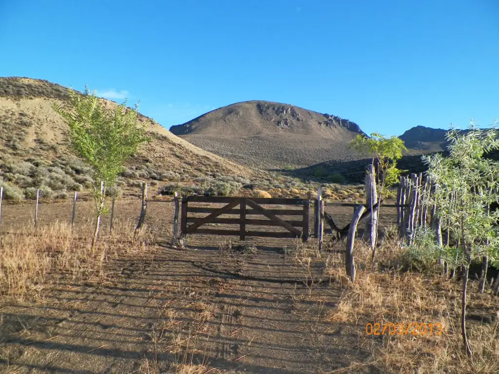 Campos O Chacras Venta Cushamen