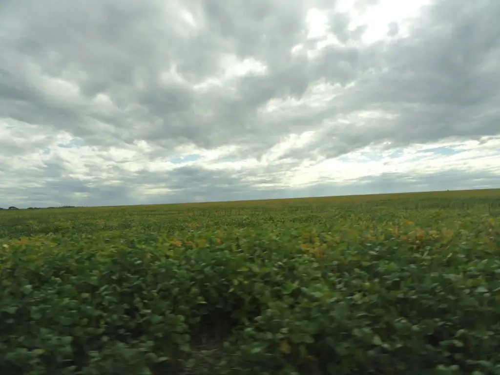 30 ha agrícolas a 2 km de autovía 14 apto varios destinos sin mejoras OPORTUNIDAD