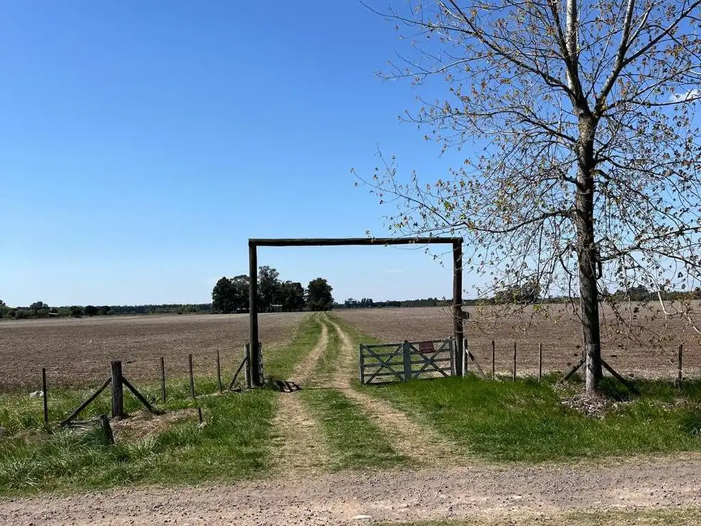 CAMPO AGRICOLA EN VENTA EN BARADERO