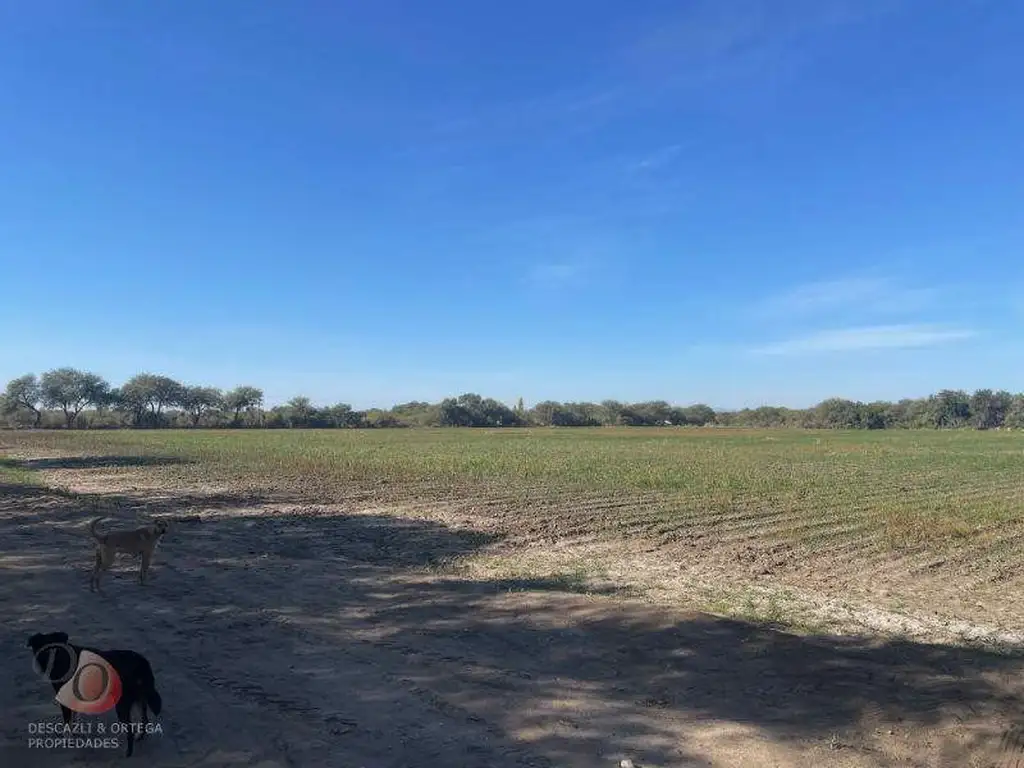 CRUZ DEL EJE- CAMPO EN VENTA- EN ZONA DE PALO PARADO-