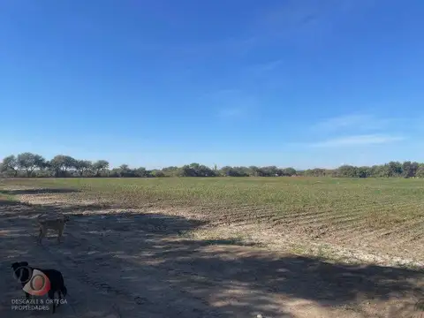 CRUZ DEL EJE- CAMPO EN VENTA- EN ZONA DE PALO PARADO-