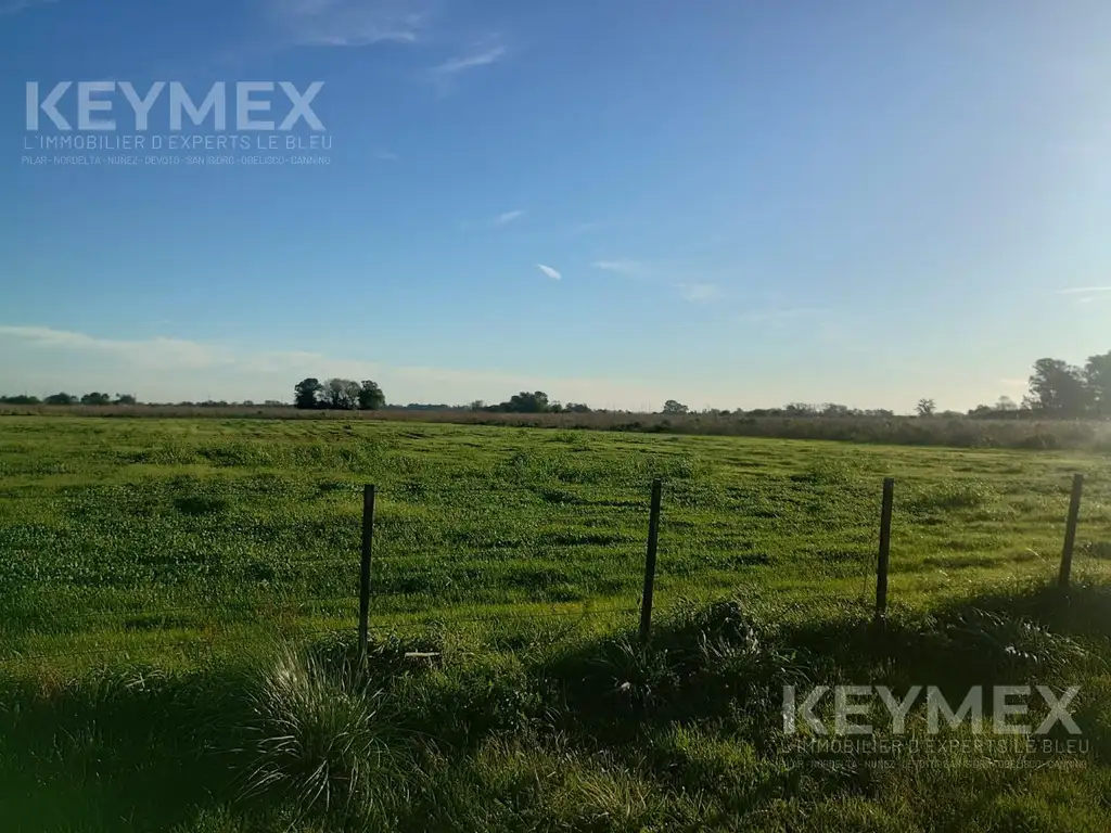 Lote Campo de 1 Hectarea  en Zona oeste Virrey del Pino