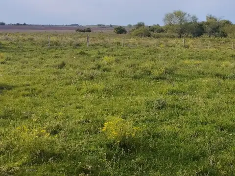 VENTA DE CAMPO AGRÍCOLA GANADERO CANELONES/MONTES