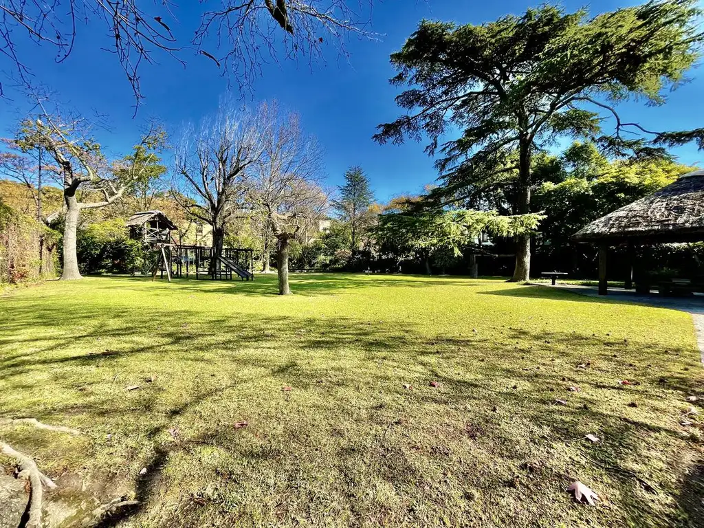 Interesante Lote de 1250 m² Ubicado en San Isidro, De Vías /Libertador