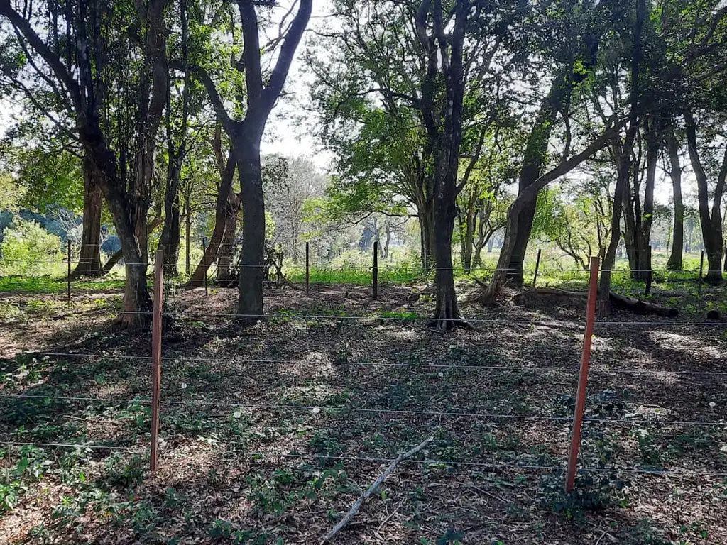 Terreno parque cercado con espacio frente al Río, PRADOS DEL RÍO