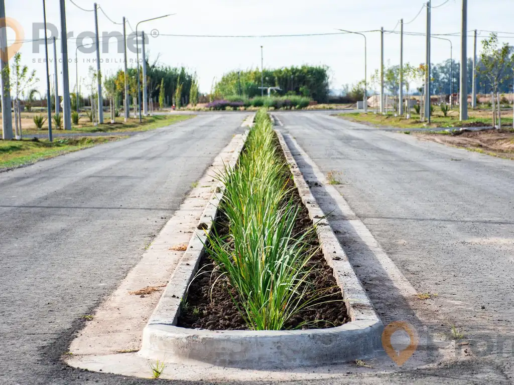 Terreno en EcoPueblo