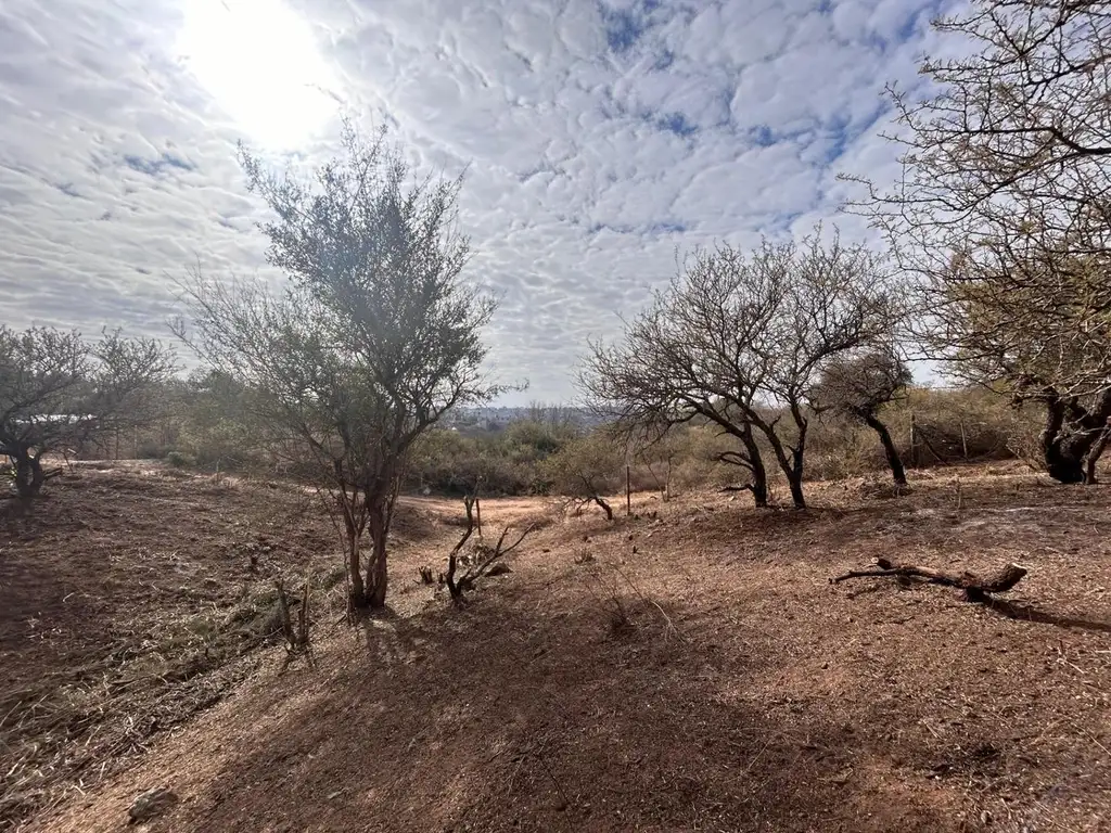 Lote en Estancia Vieja