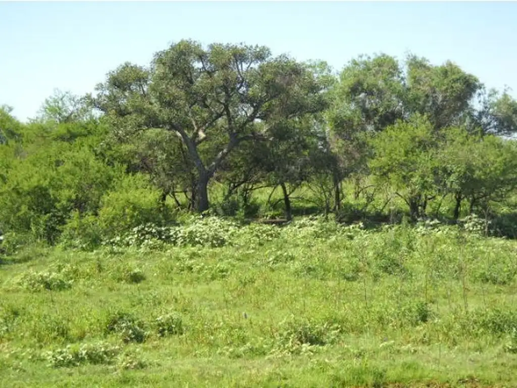 Buen monte agrícola