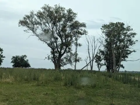 Venta Campo Mixto 740 has Partido de Bragado a 12 km de la Ruta 46