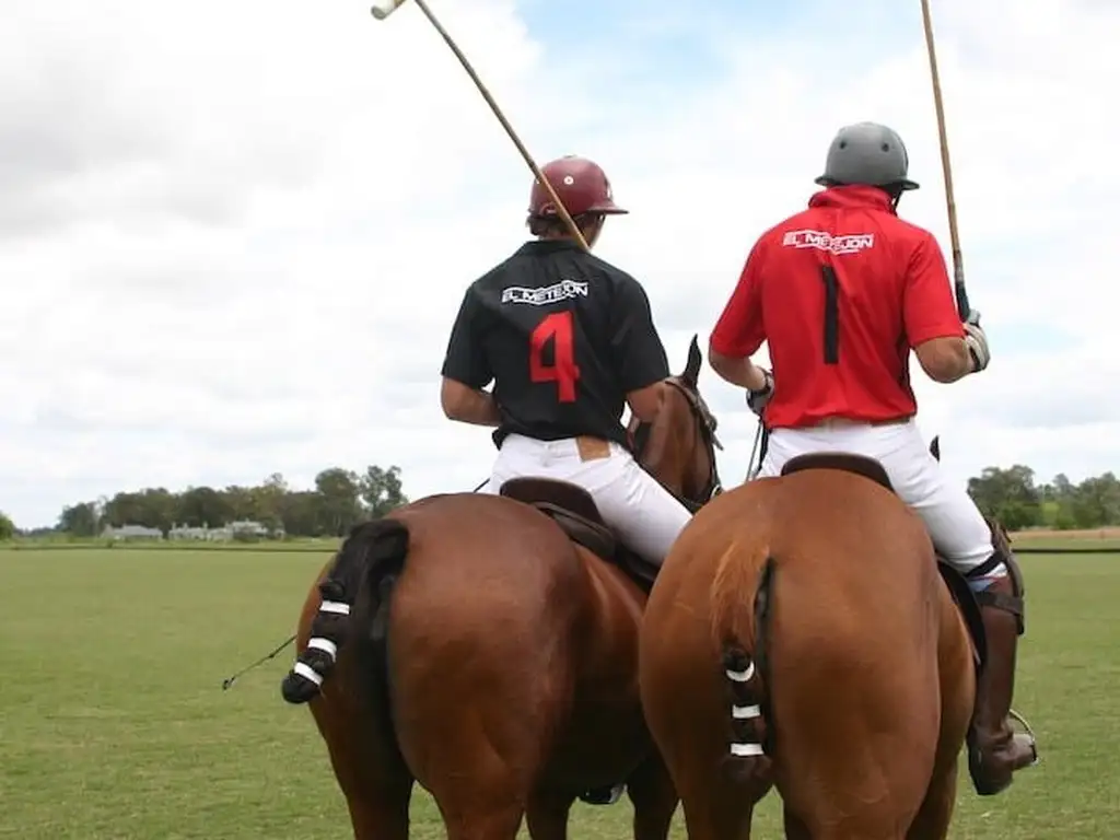 Actividades deportivas futbol, tenis, polo, equitacion en El Metejon