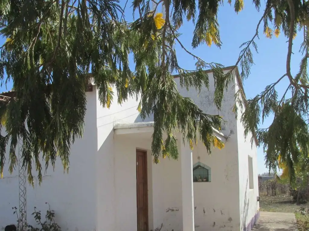 Casa rural 3 dorm en Venta Pareditas Valle de Uco