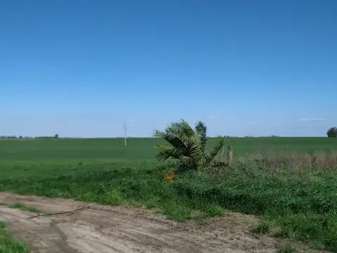 Campo en venta 180ha