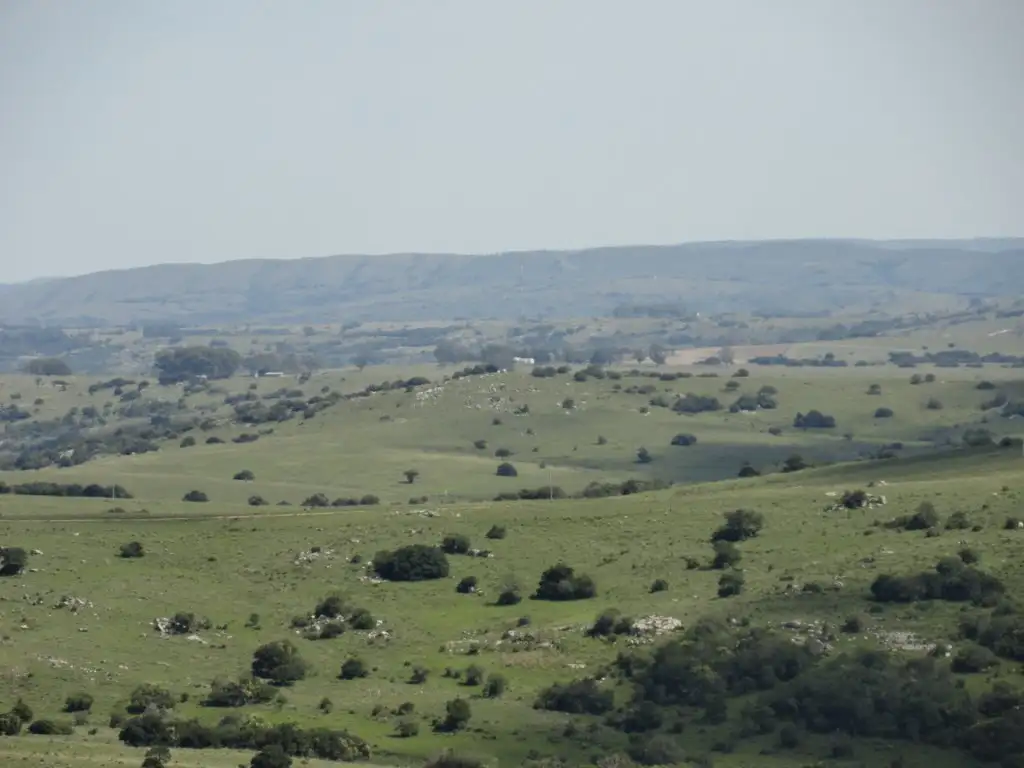 Campo - Venta - Uruguay, Maldonado