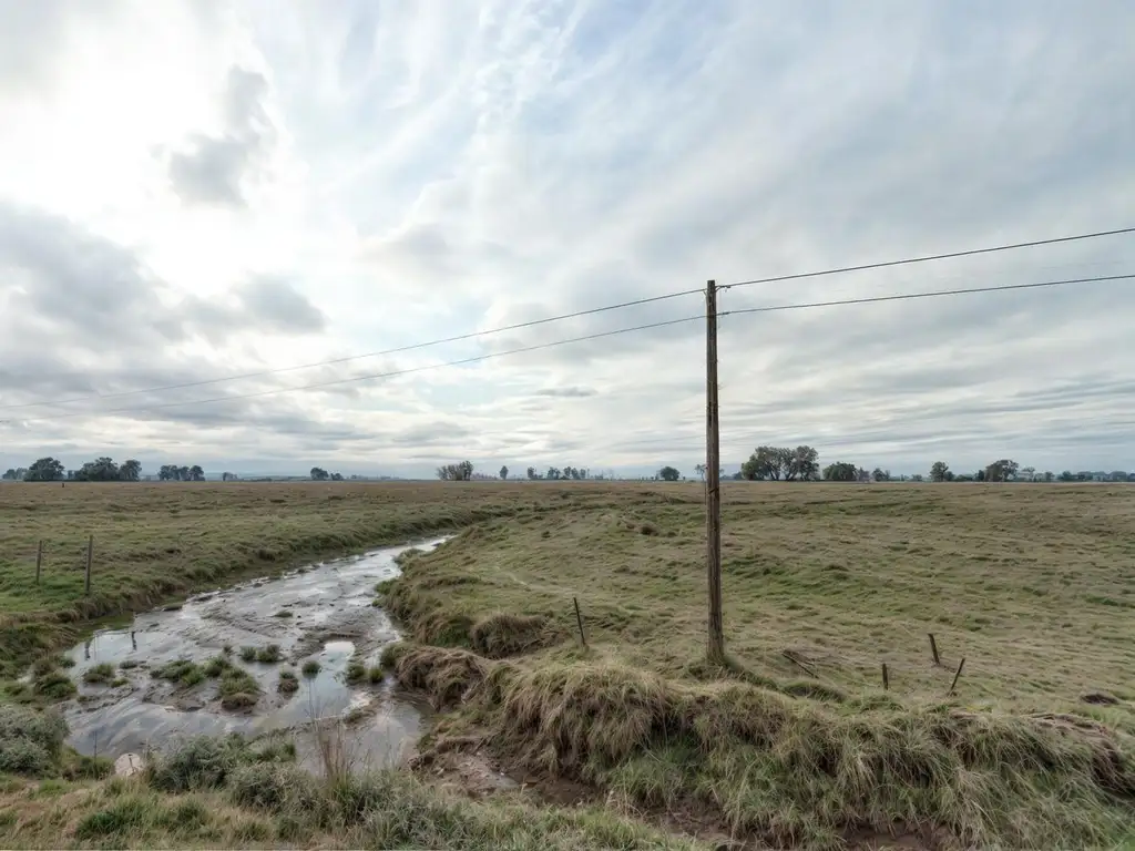 Campo en Balcarce