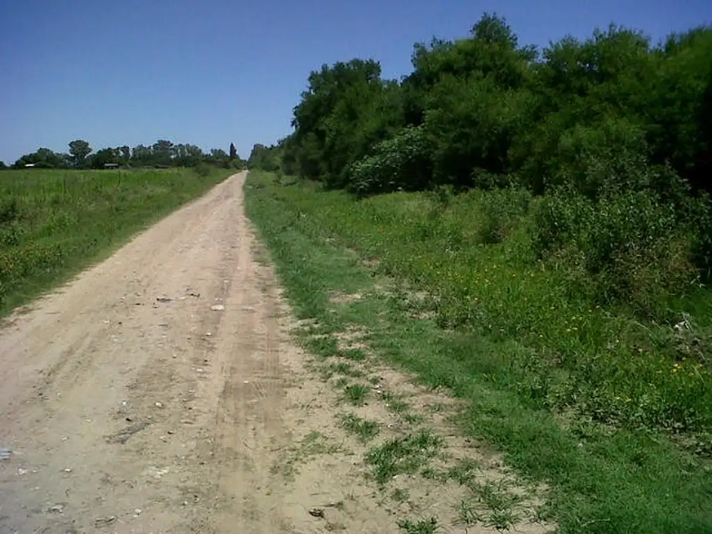 VENDO CAMPO 15HA. EN SAN PEDRO