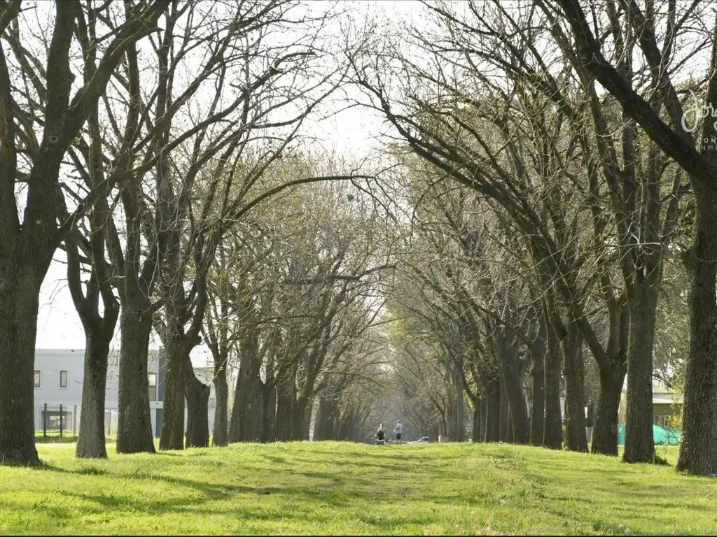 Terreno en Santa Guadalupe