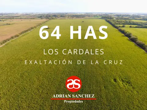 64 HAS AGRICOLAS EN LOS CARDALES