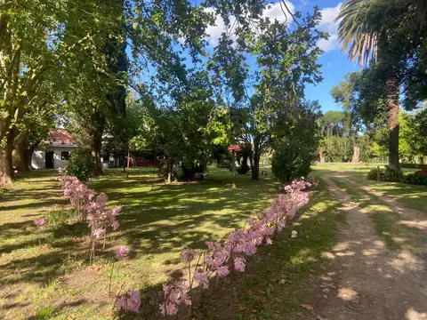 Terreno en venta-   La Querencia de Monasterio - Lezama