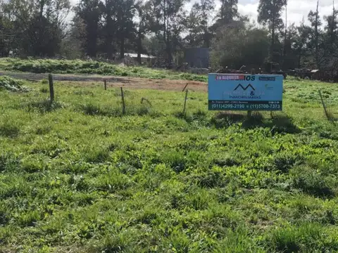 Terreno - Alquiler - Argentina, domselaar