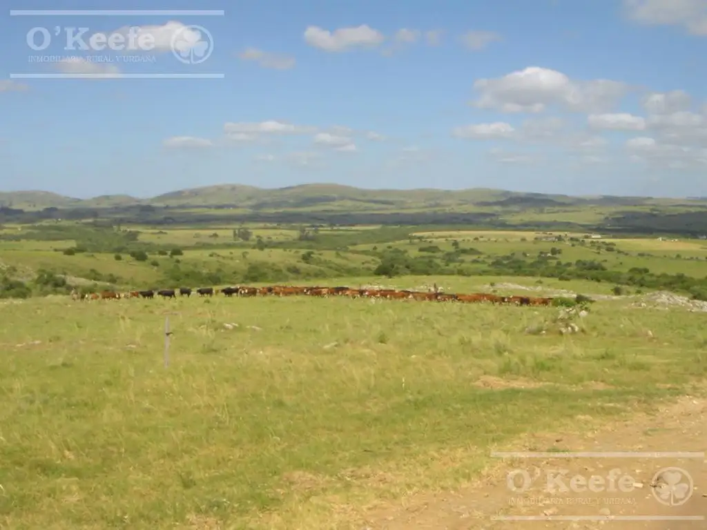 Campo en venta de 876 has Cerro Largo, Uruguay