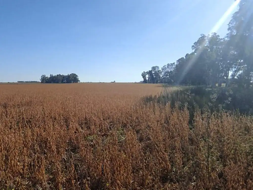 Campo en  Ruta 7 - A. Castellanos