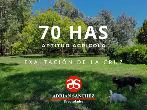 Estanzuela De 70 Has En Exaltación De La Cruz (con Mejoras)