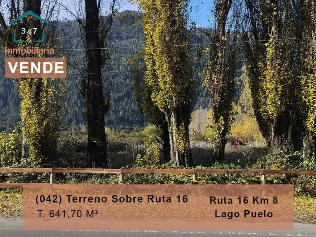 (042)Terreno sobre frente a la Ruta 16, Lago Puelo