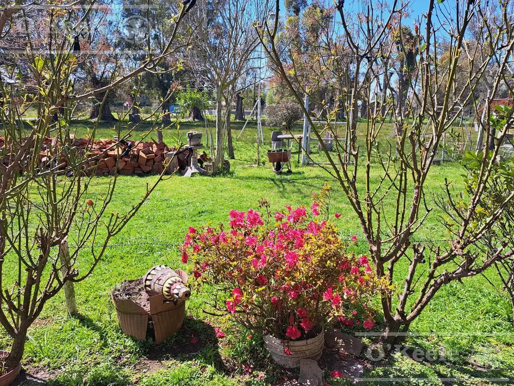 Casa quinta en venta, Brandsen- Ideal Granja, Emprendimiento