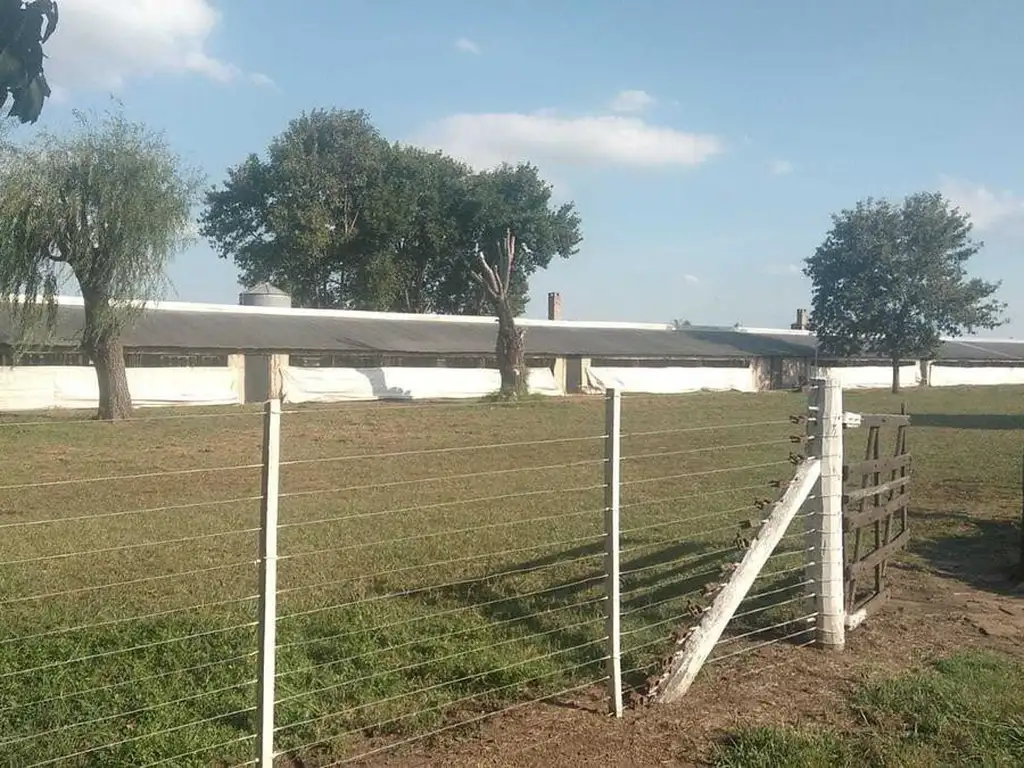 Campo en venta - 17.300Mts2 - Chacabuco