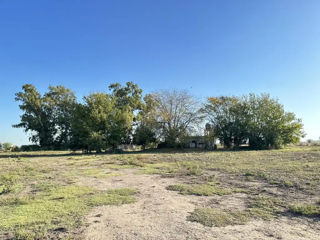 Campo en Lobos