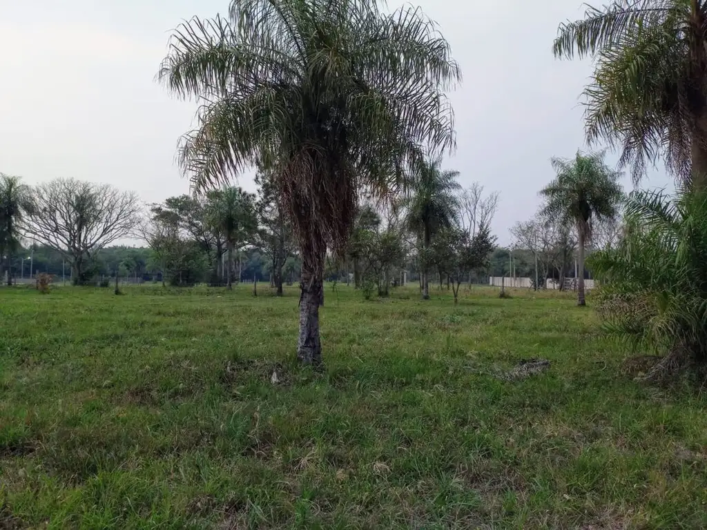 VENTA DE TERRENO EN SAN CAYETANO, CORRIENTES