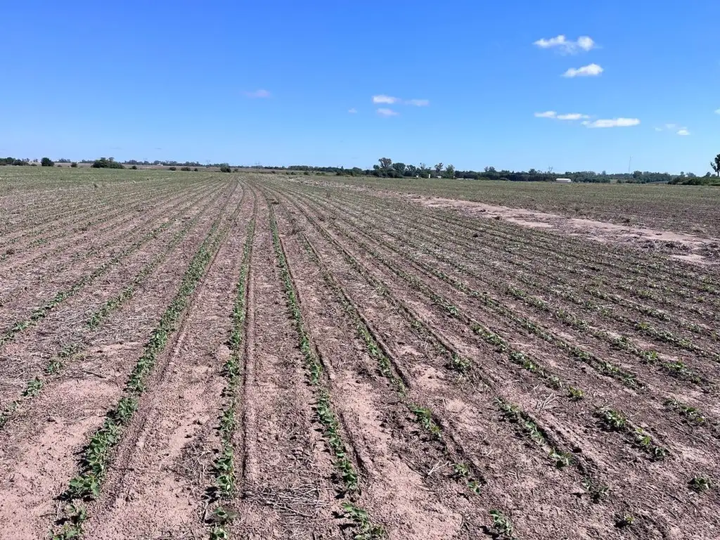 CAMPO AGRÍCOLA DE 102 HA EN VENTA EN RAMALLO