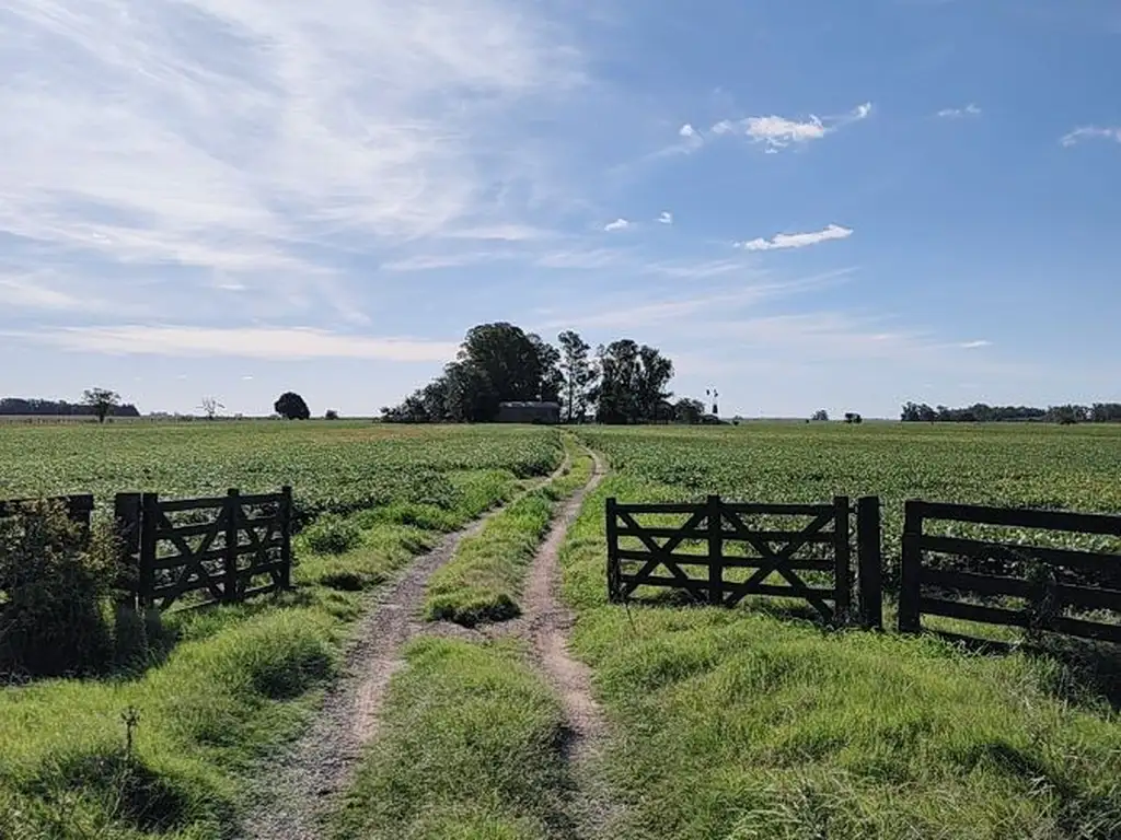 CAMPO EN VENTA - ALSINA - BARADERO