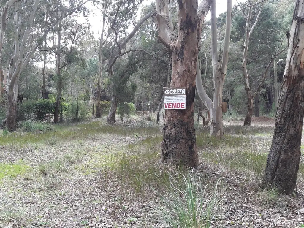 LOTE EN EL PINAR - LA LUCILA DEL MAR - ESQUINA