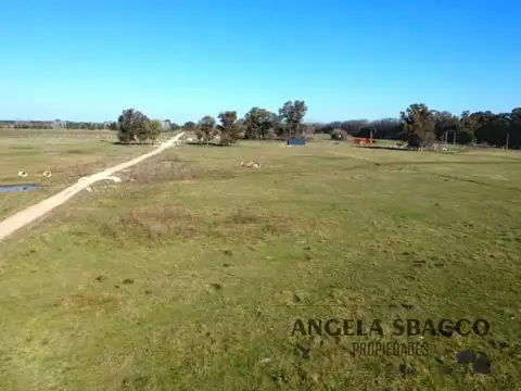 Excelente Campito, en Exaltación de la Cruz.