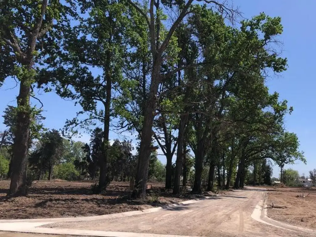 Lote en nuevo proyecto - Barrio La Estela - Pilar